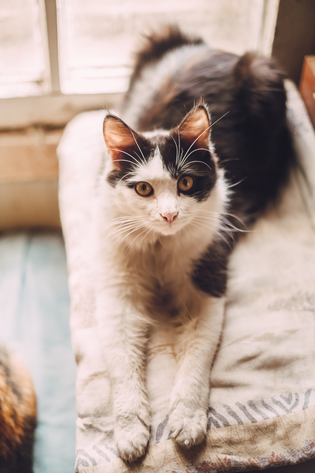 Подарок судьбы в Ульяновске. Фотограф в Ульяновске Елена Орлова