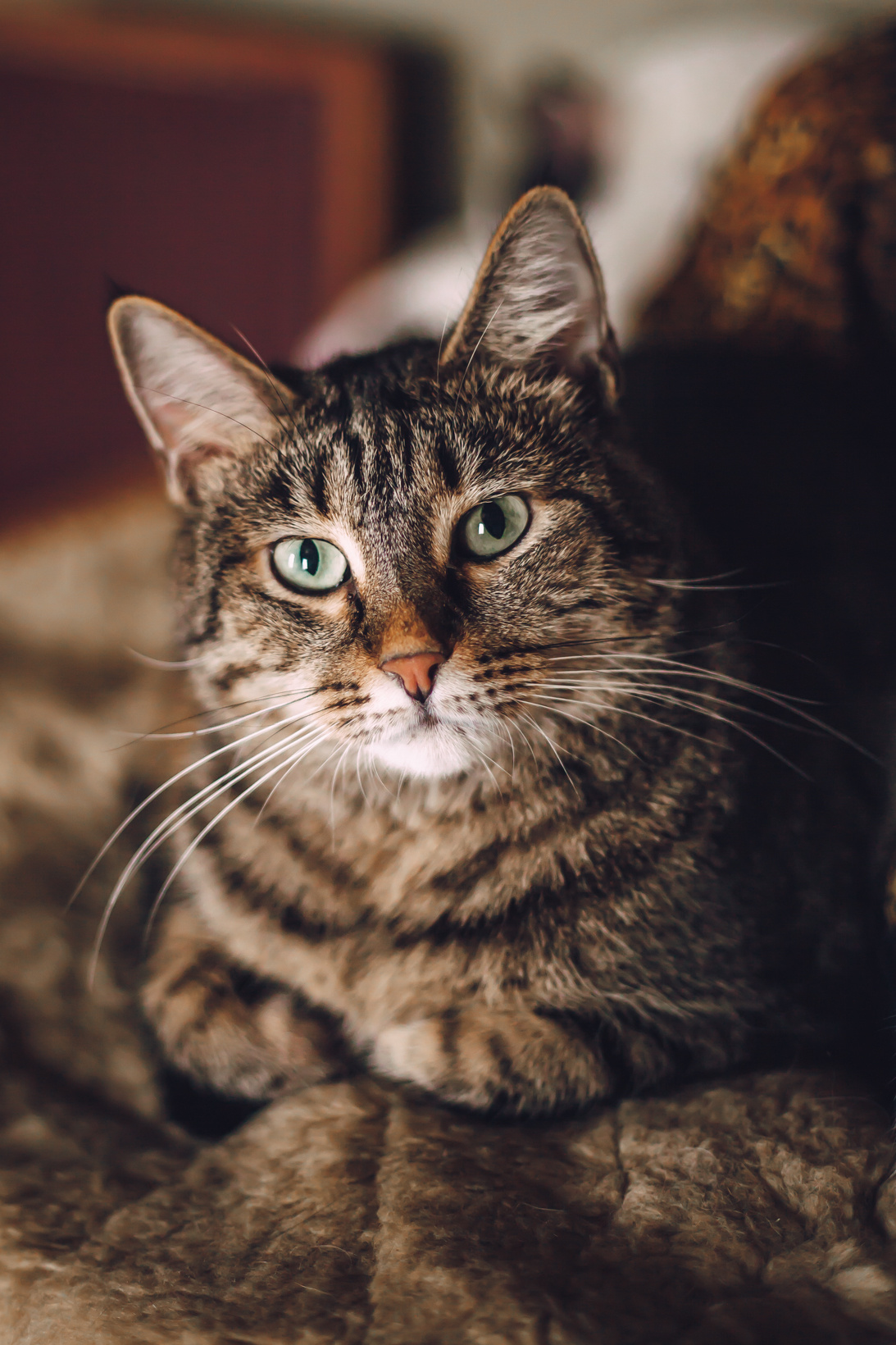 Подарок судьбы в Ульяновске. Фотограф в Ульяновске Елена Орлова