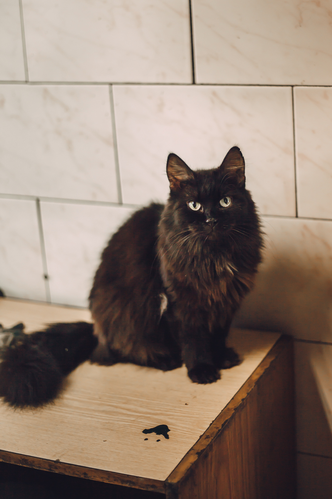 Подарок судьбы в Ульяновске. Фотограф в Ульяновске Елена Орлова