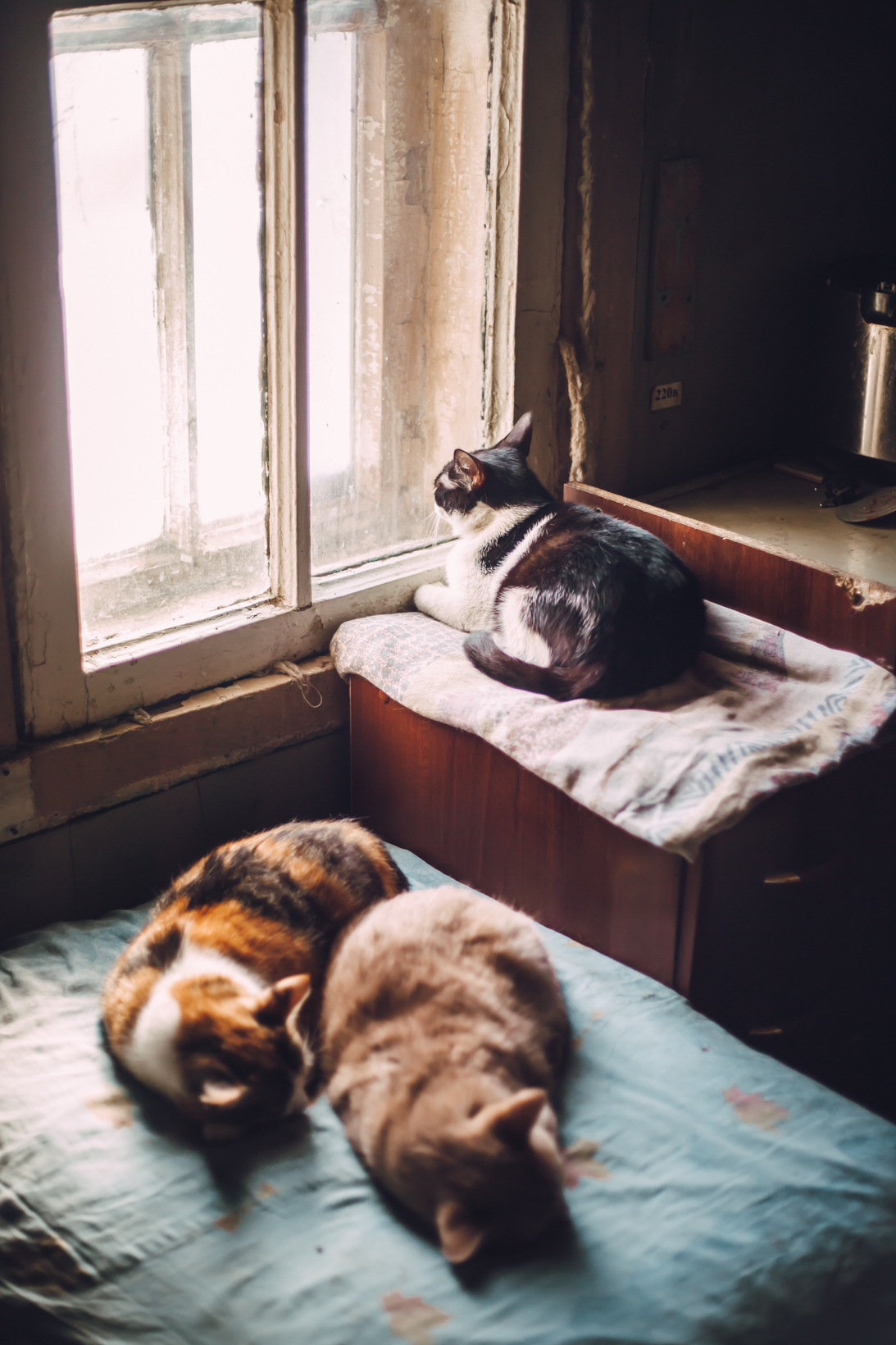 Подарок судьбы в Ульяновске. Фотограф в Ульяновске Елена Орлова