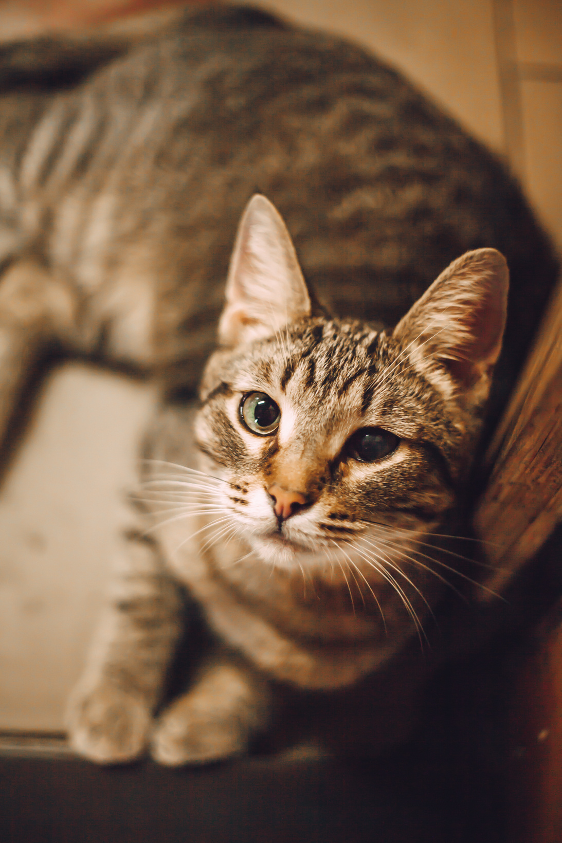 Подарок судьбы в Ульяновске. Фотограф в Ульяновске Елена Орлова