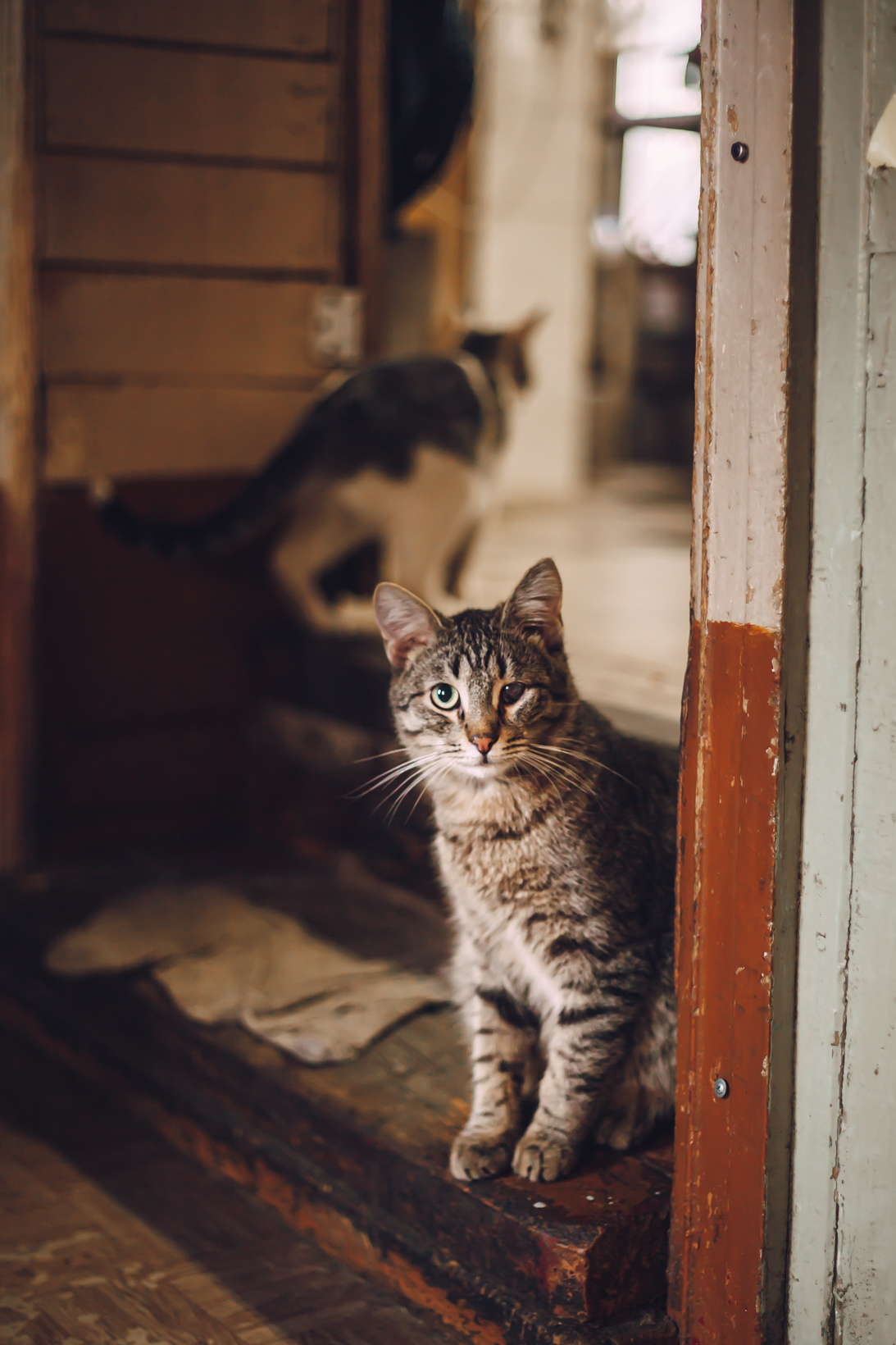 Подарок судьбы в Ульяновске. Фотограф в Ульяновске Елена Орлова