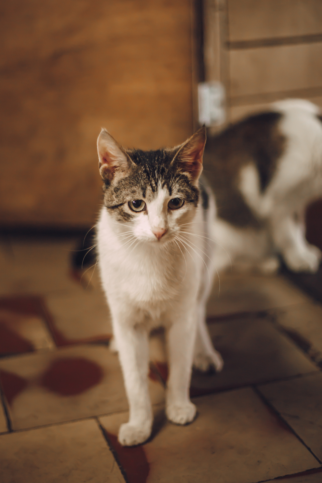 Подарок судьбы в Ульяновске. Фотограф в Ульяновске Елена Орлова