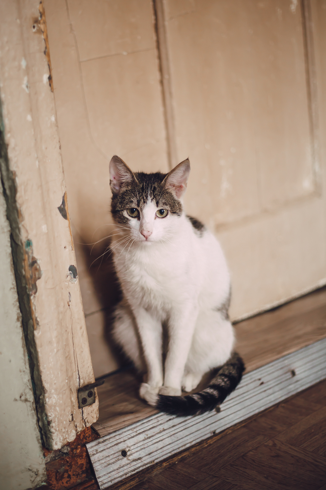 Подарок судьбы в Ульяновске. Фотограф в Ульяновске Елена Орлова