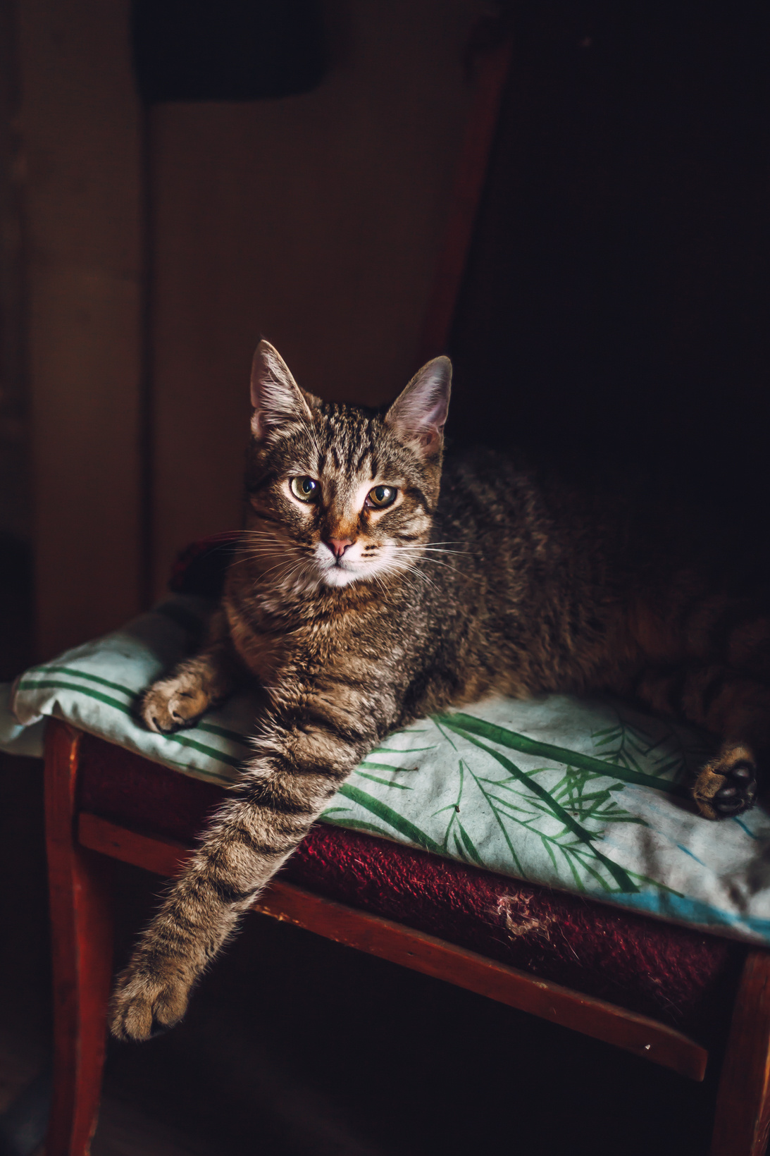 Подарок судьбы в Ульяновске. Фотограф в Ульяновске Елена Орлова