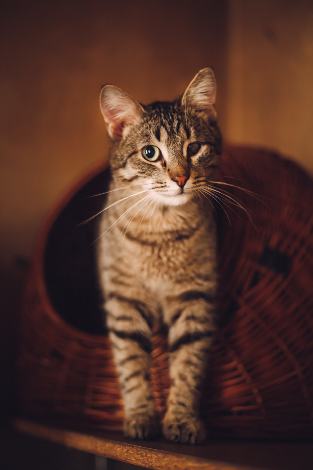 Подарок судьбы в Ульяновске. Фотограф в Ульяновске Елена Орлова