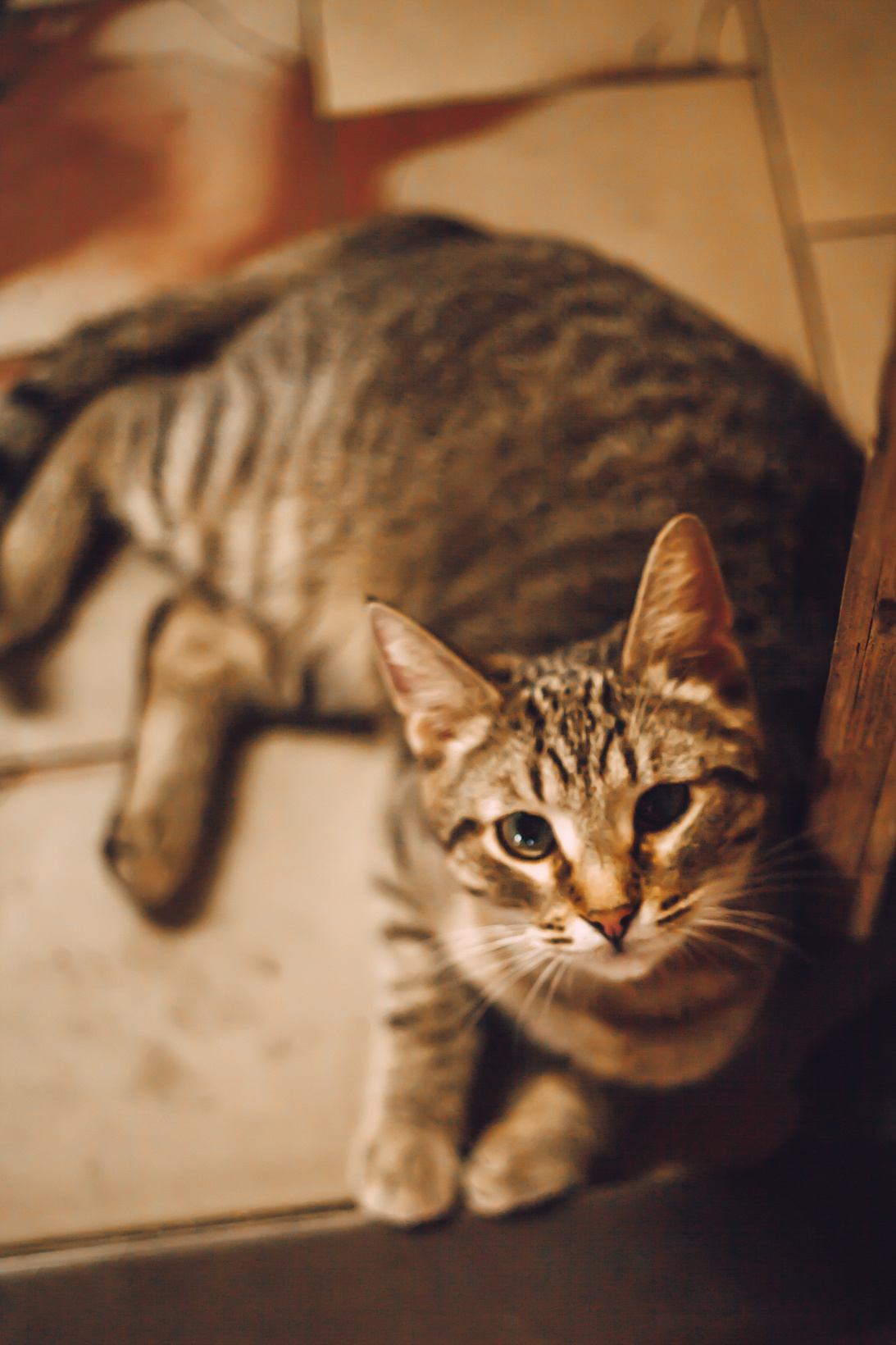 Подарок судьбы в Ульяновске. Фотограф в Ульяновске Елена Орлова