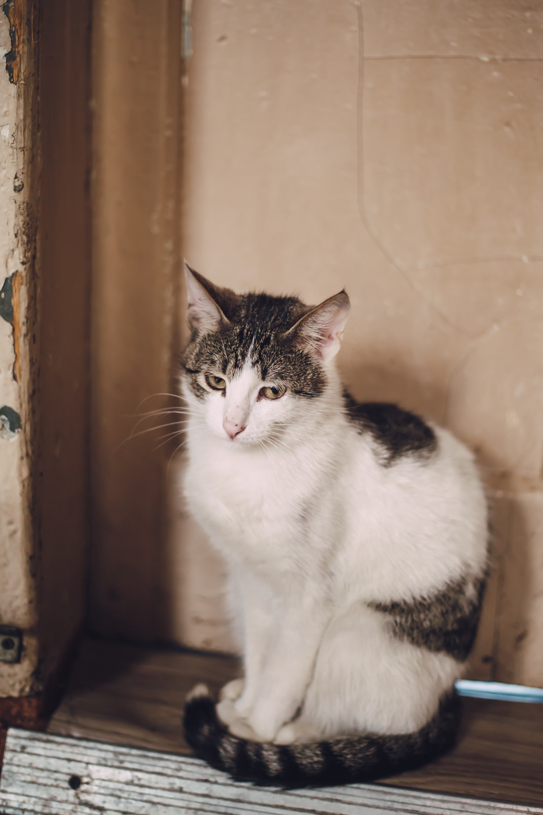 Подарок судьбы в Ульяновске. Фотограф в Ульяновске Елена Орлова