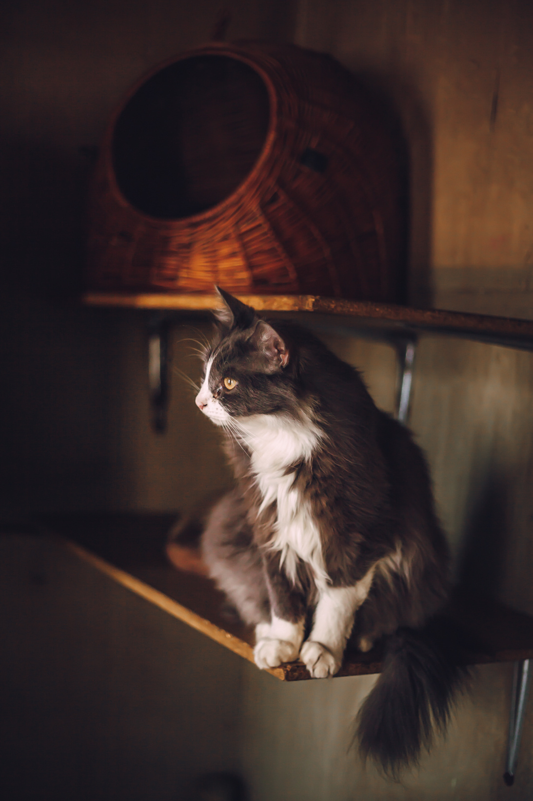 Подарок судьбы в Ульяновске. Фотограф в Ульяновске Елена Орлова