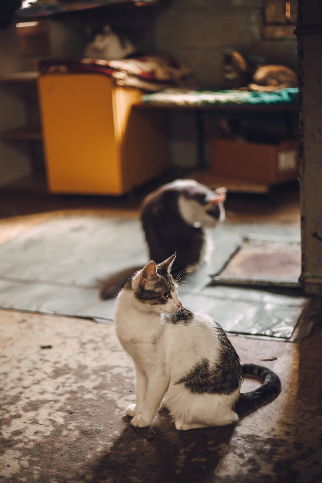 Подарок судьбы в Ульяновске. Фотограф в Ульяновске Елена Орлова