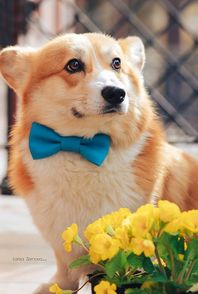 Лаиса Зернова. Фото школа, обучение фотографии в Калининграде