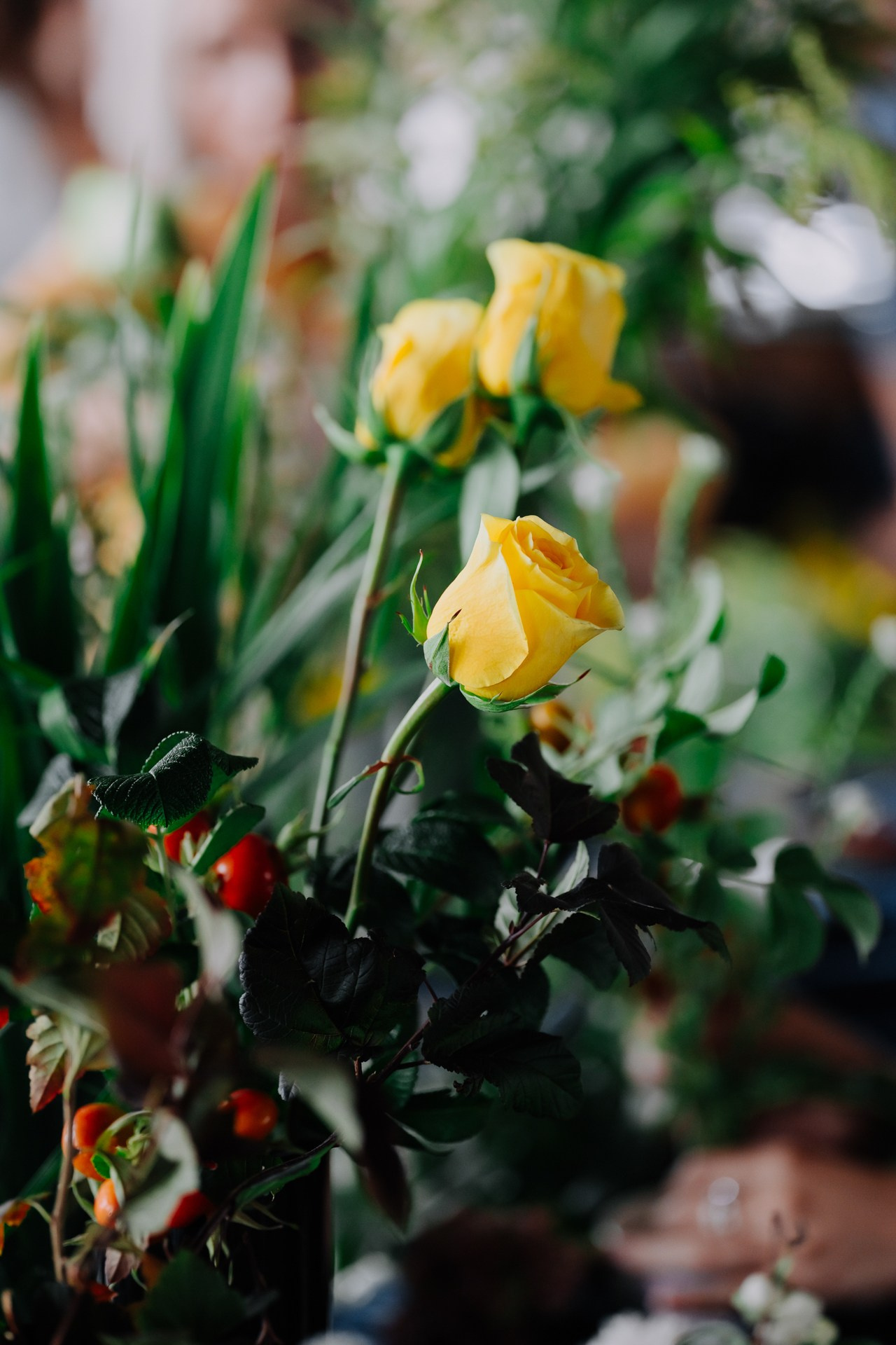 ОСЕННИЙ БРАНЧ в F11. Night2Day Санкт-Петербург