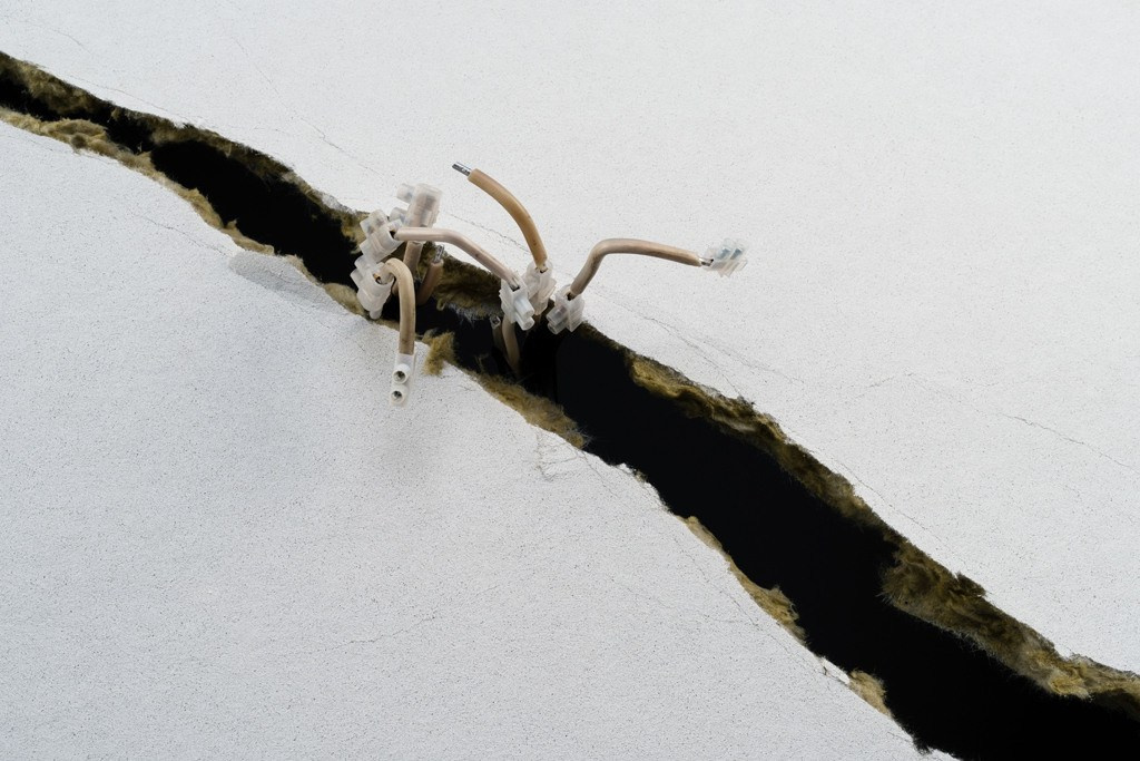 The city of white birches. Vita Stroganova