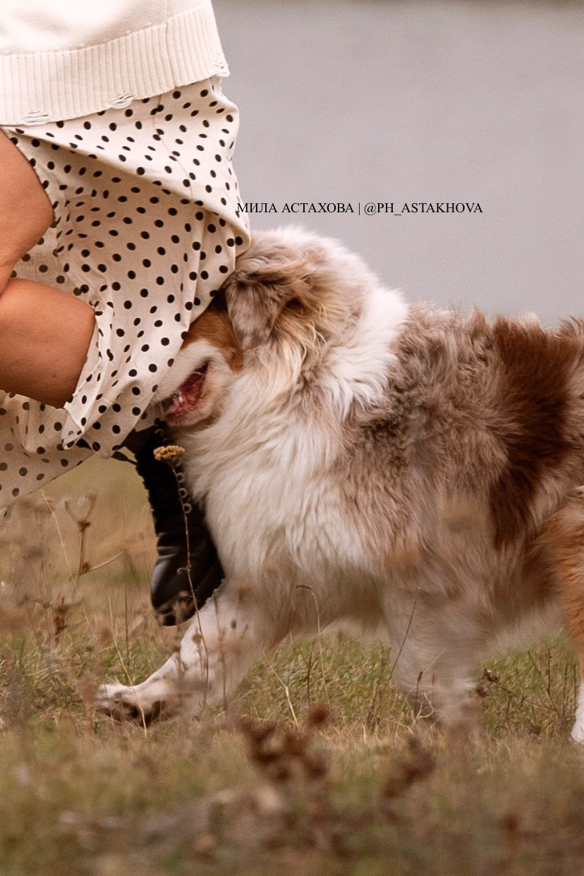 Ми и Виктория. Мила Астахова