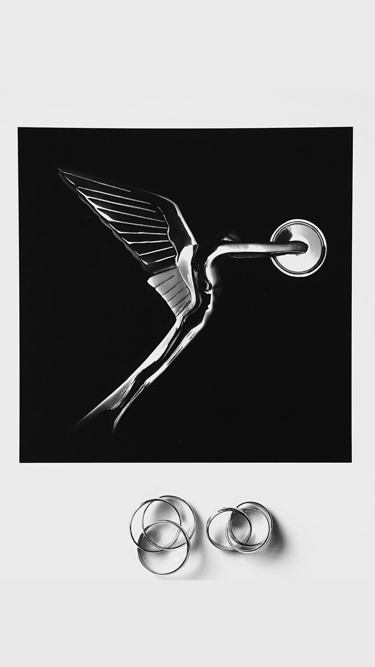 WEDDING 2023-2025. Свадебный Фотограф Максим Пустовой