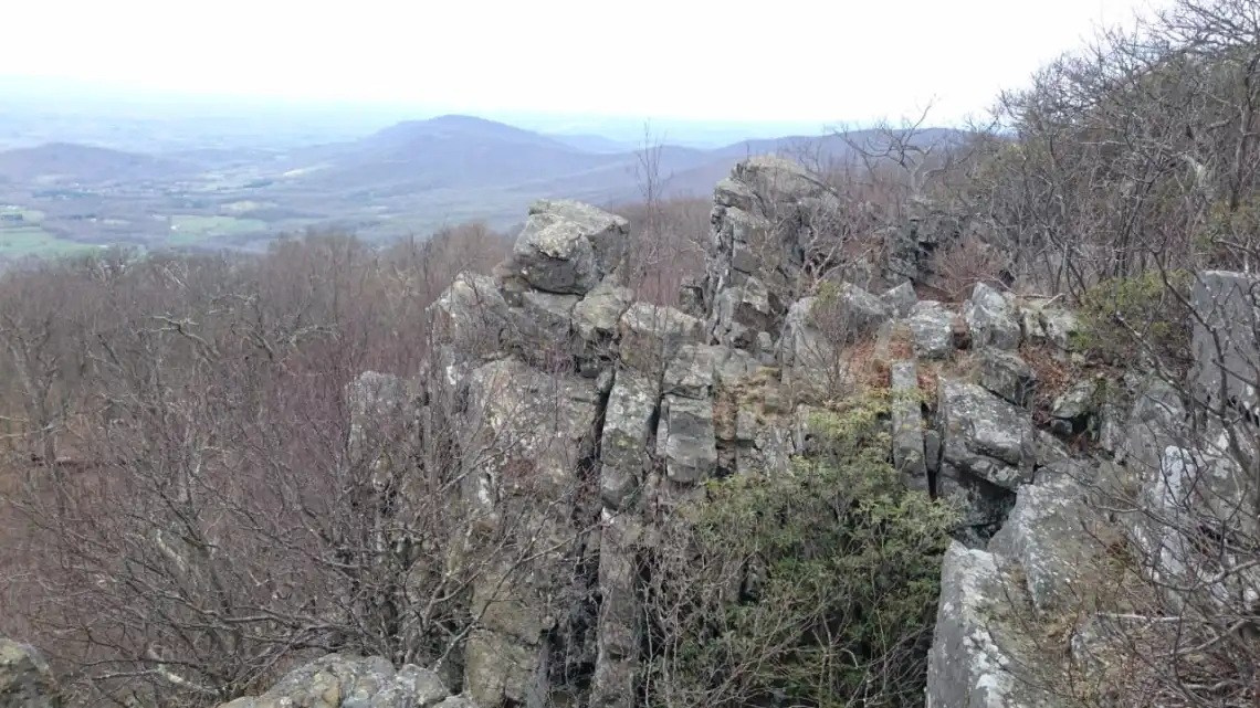 Апполакская тропа. Фотограф для маркетплейсов Михаил Бове