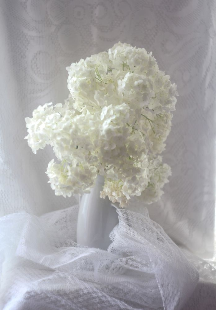 Пазлы. Фотохудожник Татьяна Бойцова