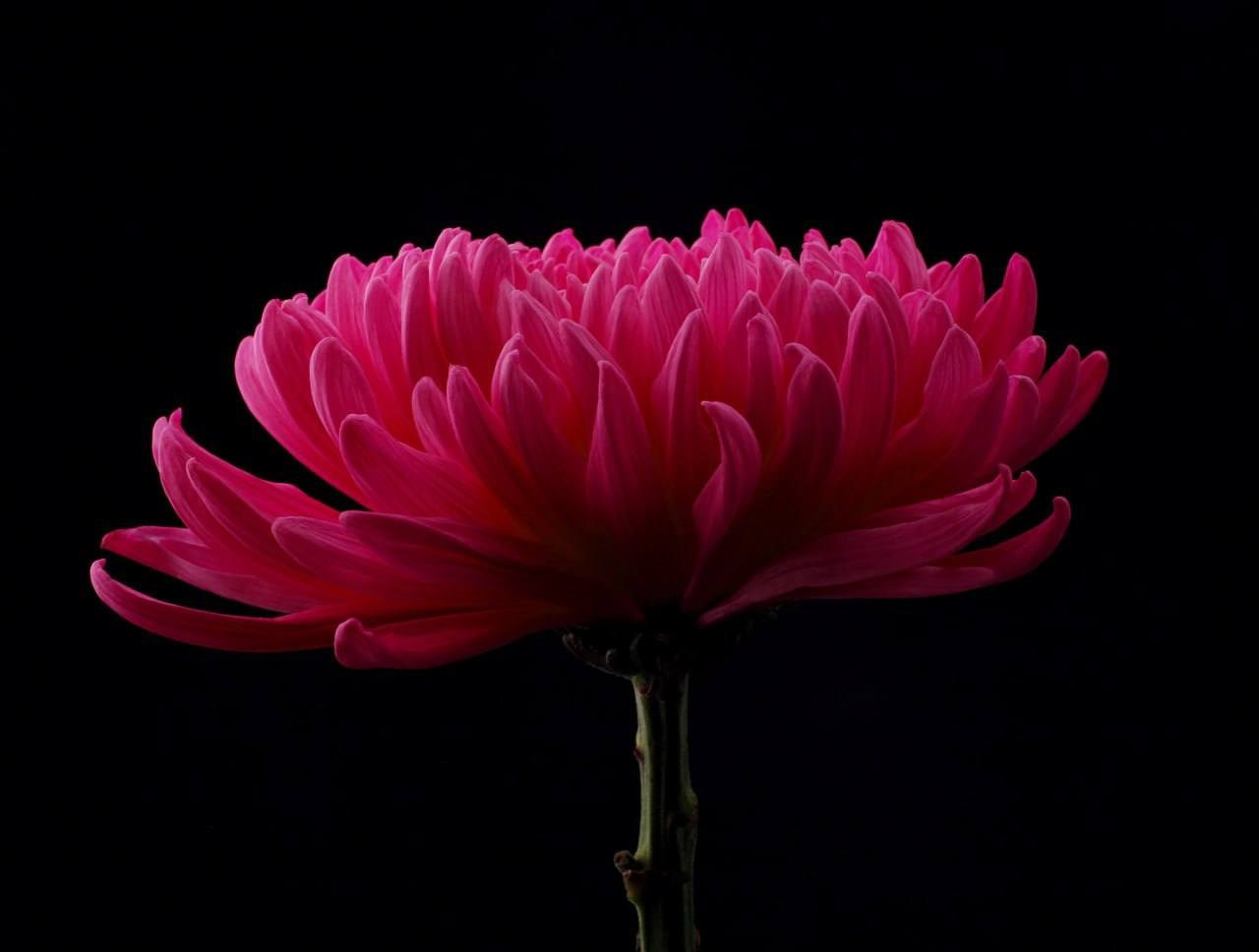 Предметы. Фотограф в Москве Юлия Майорова