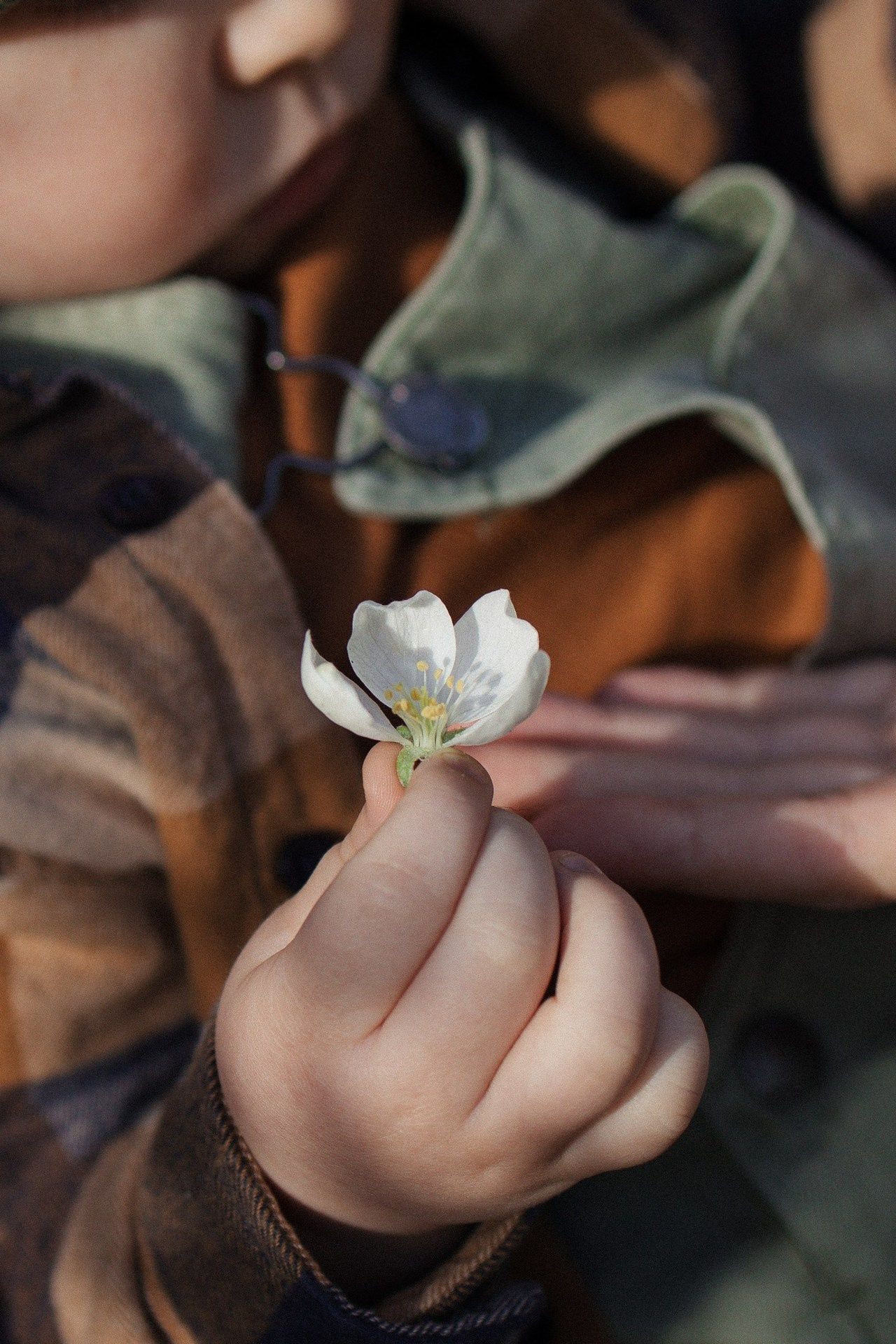 Отзывы. Фотограф в Выборге и Санкт-Петербурге Маша Гуляева