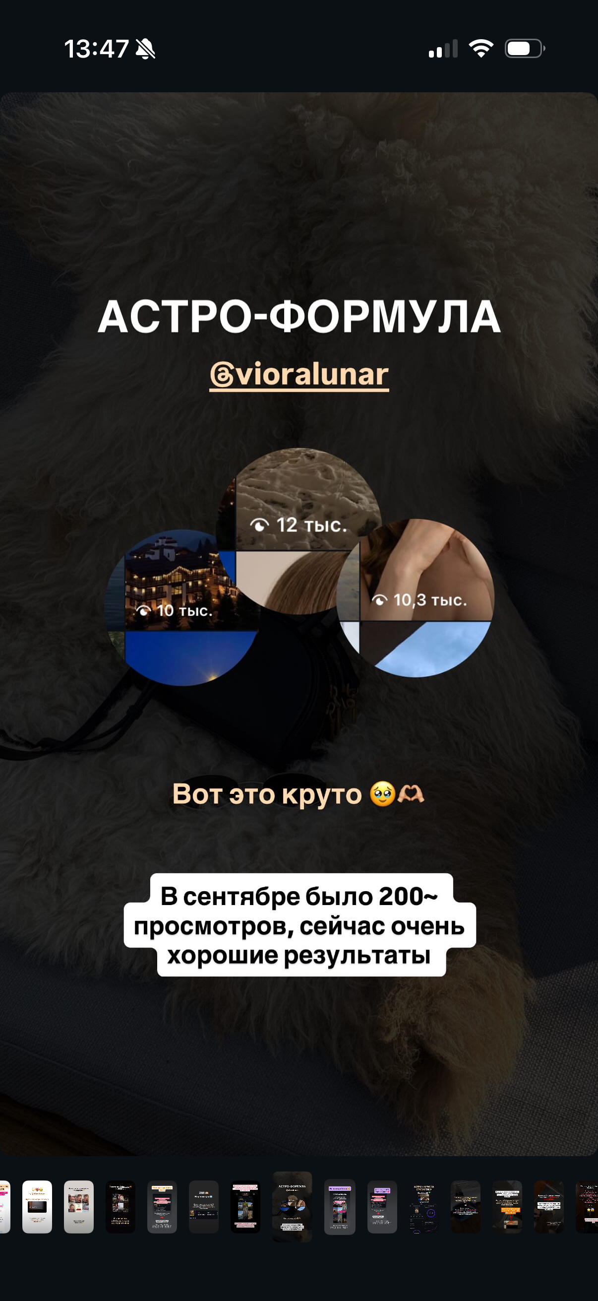 Услуги. Астролог Юлия