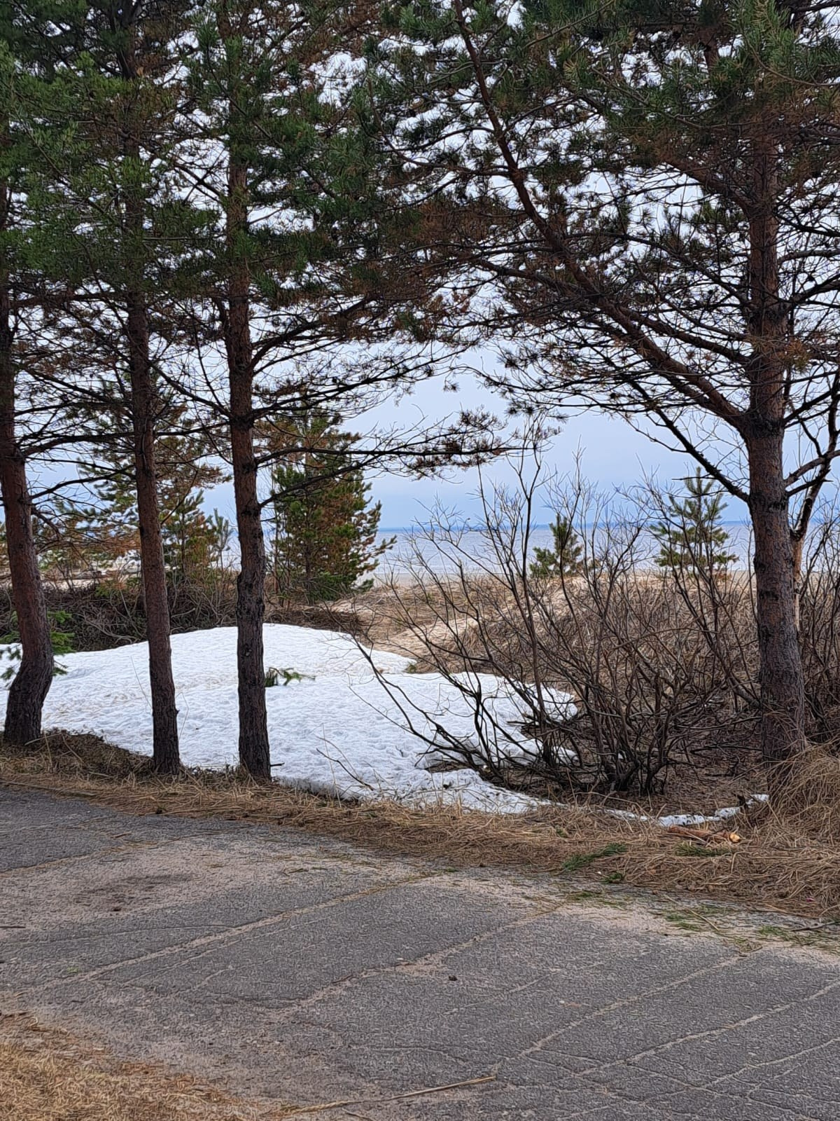 Архангельск | 08.05 — 11.05.2025. Галерея Фантим