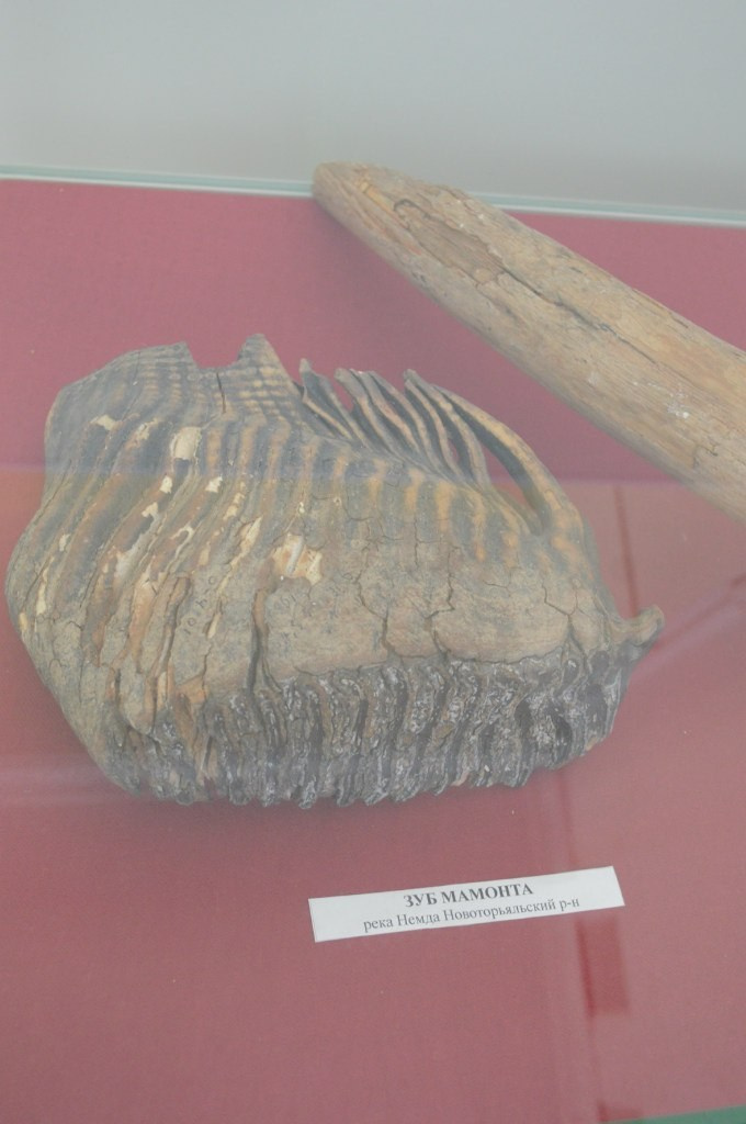 Йошкар-Ола и Чебоксары | 19-20.03.2016. Галерея Фантим