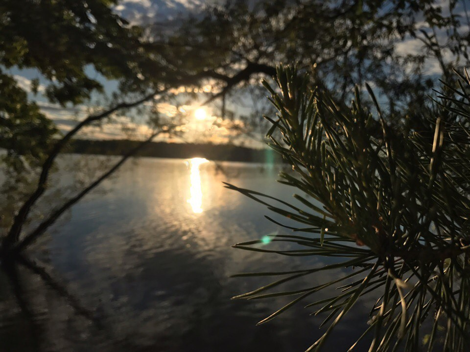 Походная романтика 22! Новый год и не тра-та-та-та… | 23-25.06.2017. Галерея Фантим