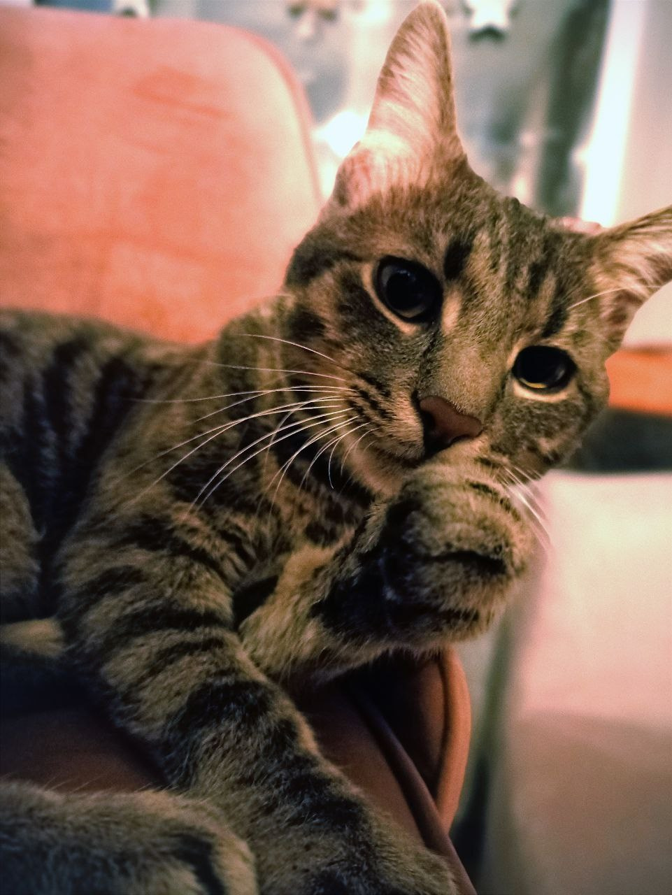 Мобильная фотография. Фотограф г. Владивосток