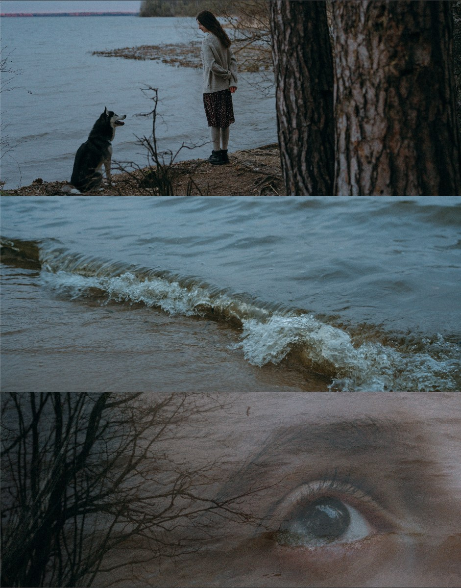 Наташа и Сириус. Фотограф анималист в Москве и Санкт-Петербурге Свиридова Анна