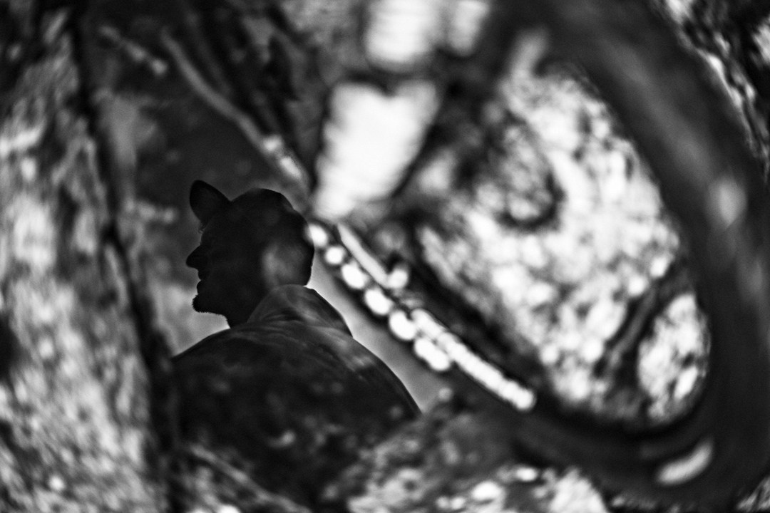 Cherrybomb Pavel Alekhin Doc. Bivol images