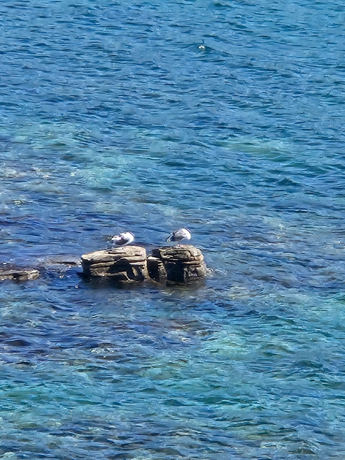 Владивосток 1 | 18-21.09.2025. Галерея Фантим