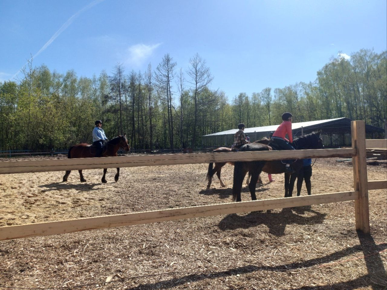 Лошадинг | 30.03.2024. Галерея Фантим