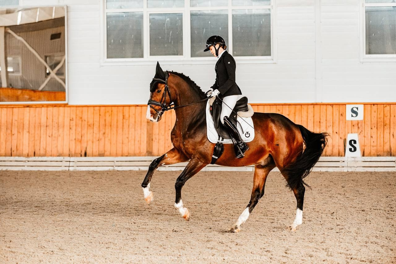 ЗОЛОТАЯ ОСЕНЬ КСК «КОНКОРД», ВЫЕЗДКА. Конный фотограф Куракина Дарья • Фотосессии с лошадьми