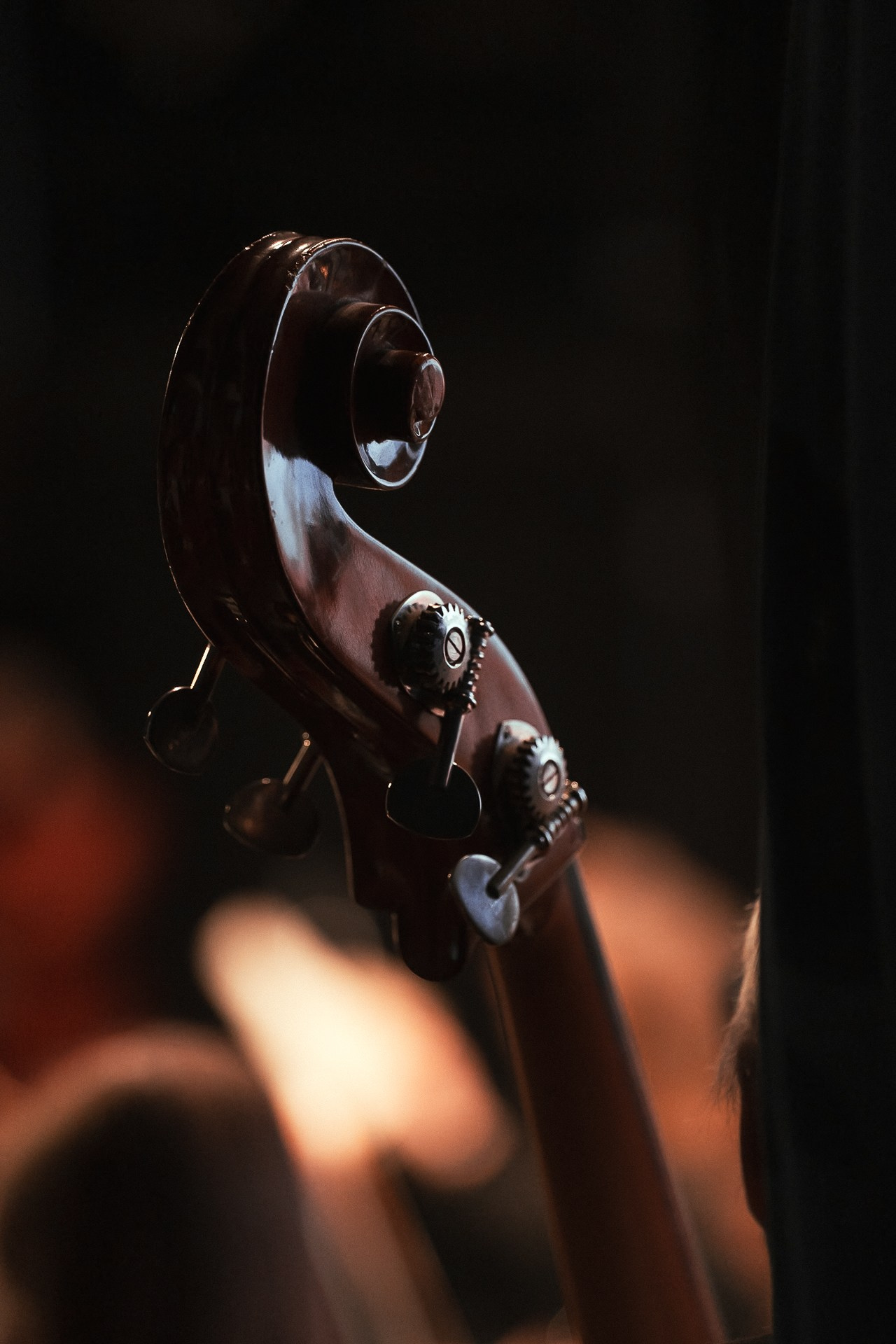 Дни музыки вятских композиторов. Паша Страхов — фотограф