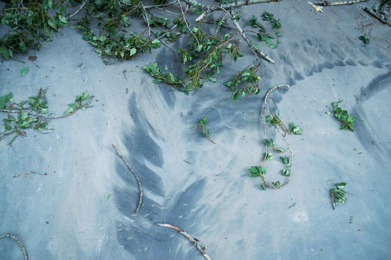 Симуляторы (Каталог № 4). Главная