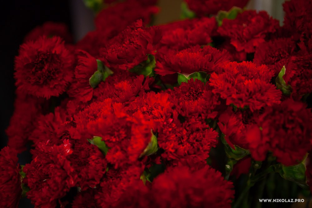 Русгидро (9 мая). Видеооператор/Фотограф Николай Завьялов