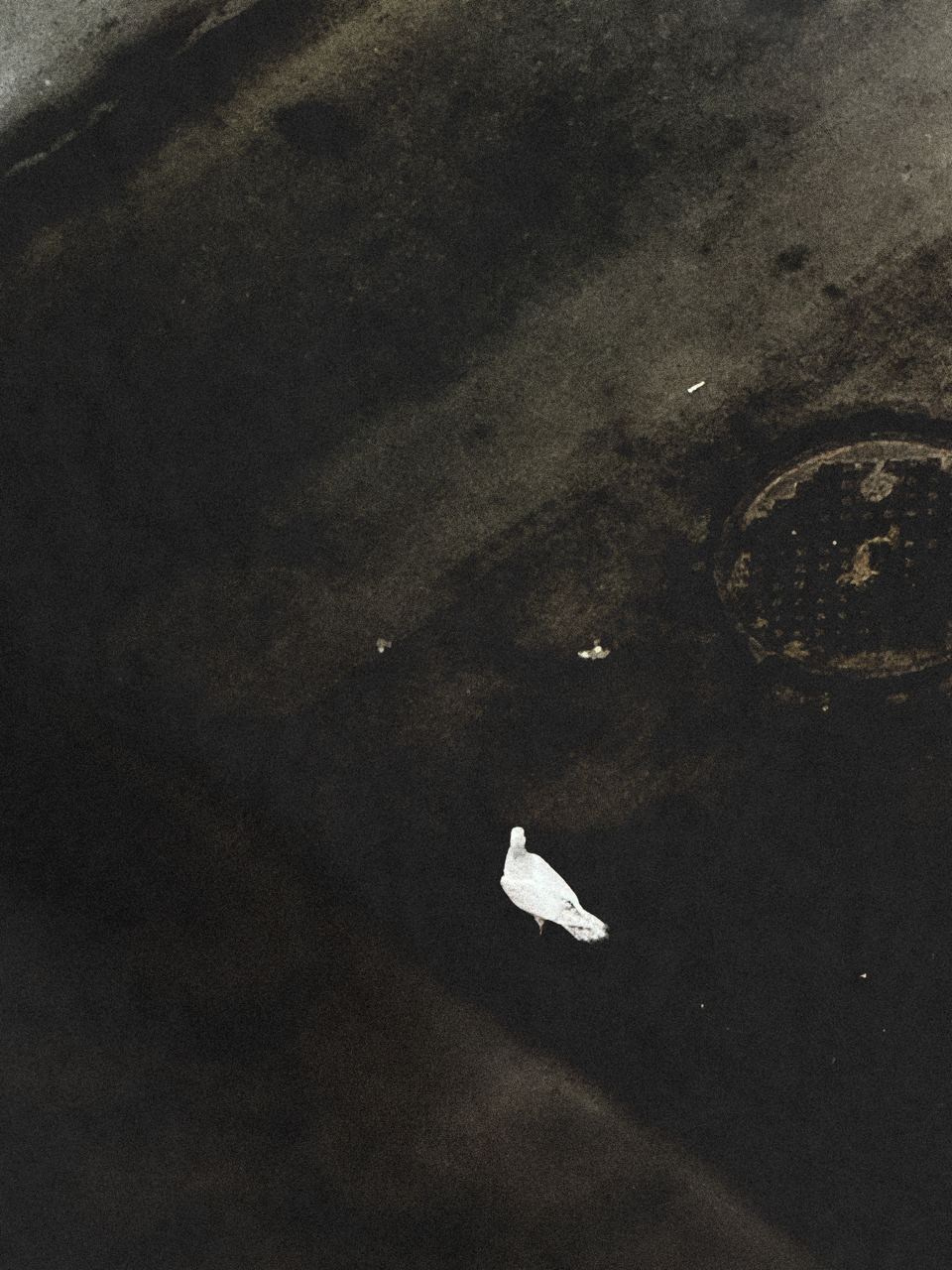 RANDOM. Nik Paustovskiy photography