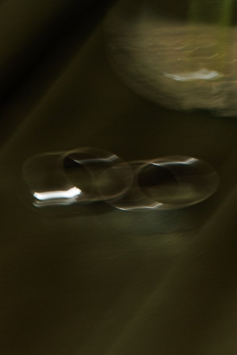 Сергей и Алена. Фотограф