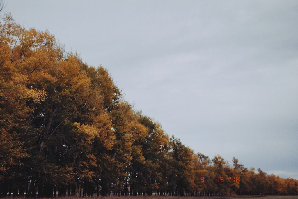 Пейзажи. Свадебный и портретный фотограф в Новом Уренгое Андрей Нелескин