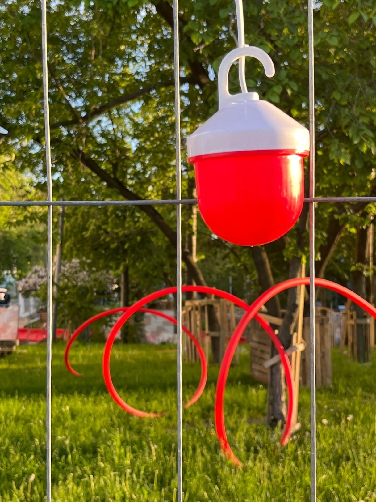 Мобилография. Художественная фотография. Фотография на плёнку. Илья Вараксин