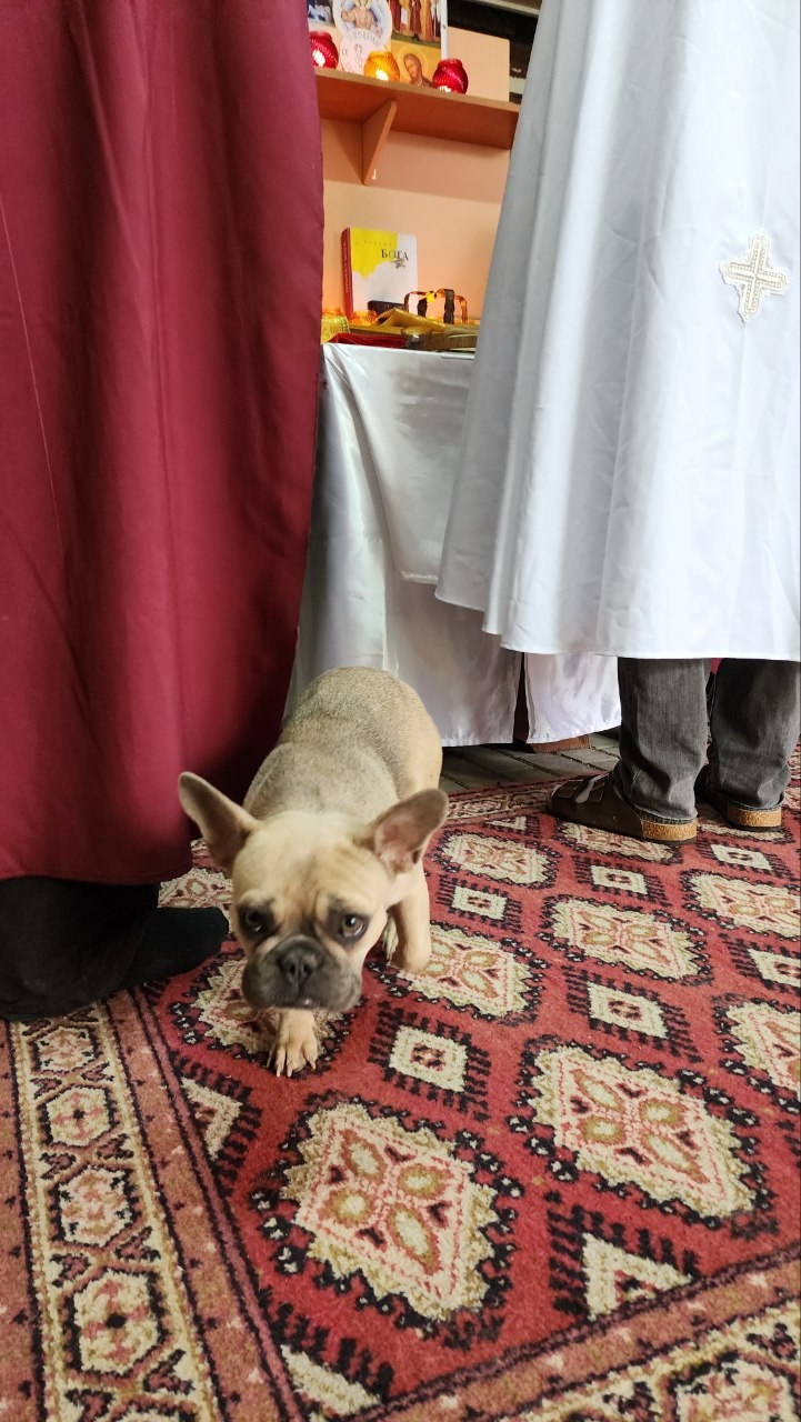 Литургия в Горячем Ключе (2024-09-21). Собор Отрасли