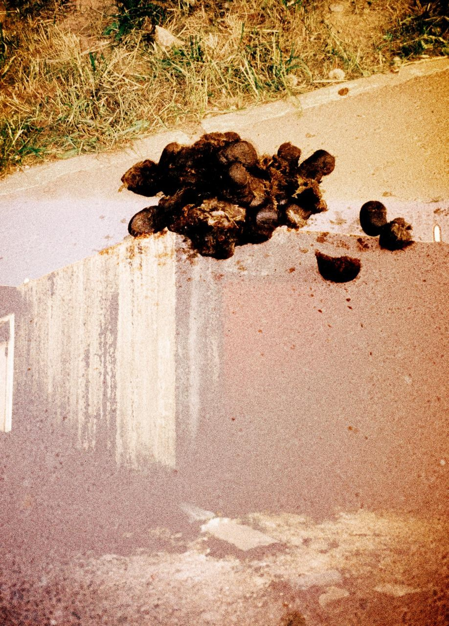 RANDOM. Nik Paustovskiy photography