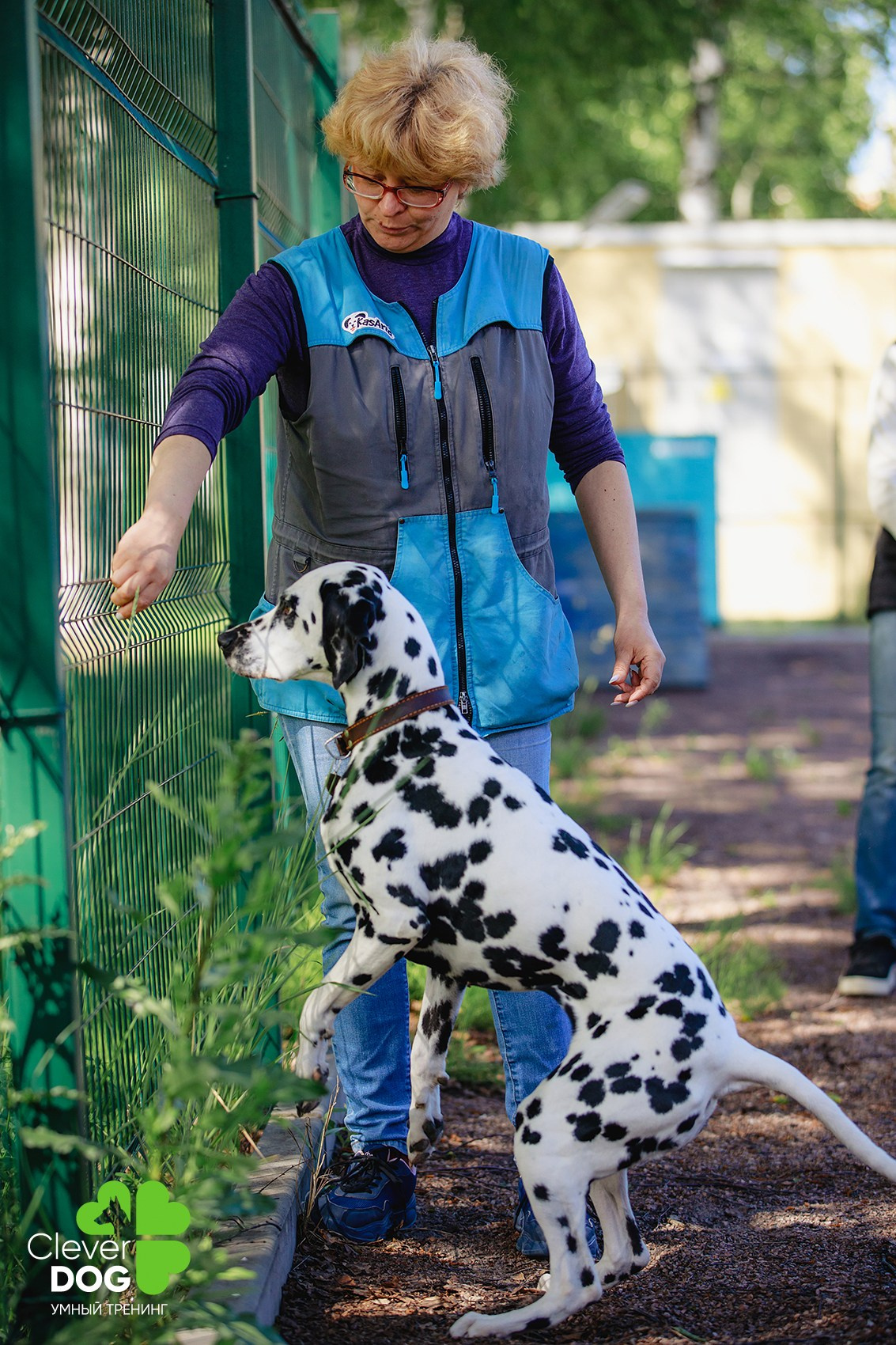 Семинар по поиску запаха с Иваном Ломовым, организатор CleverDog, СПб. Фотограф-анималист Mary Mart — Москва, Питер