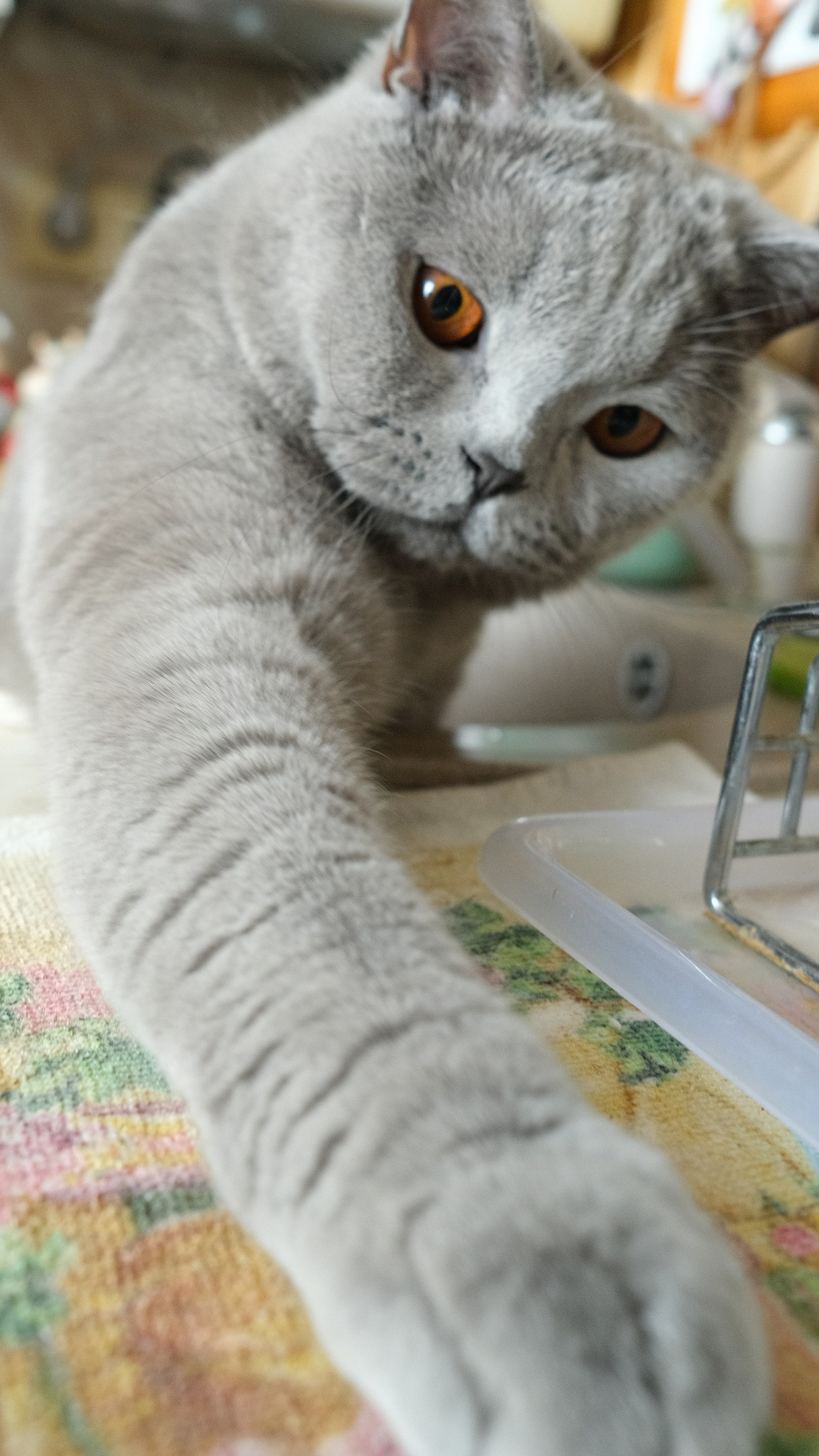 Улица, люди, жизнь…