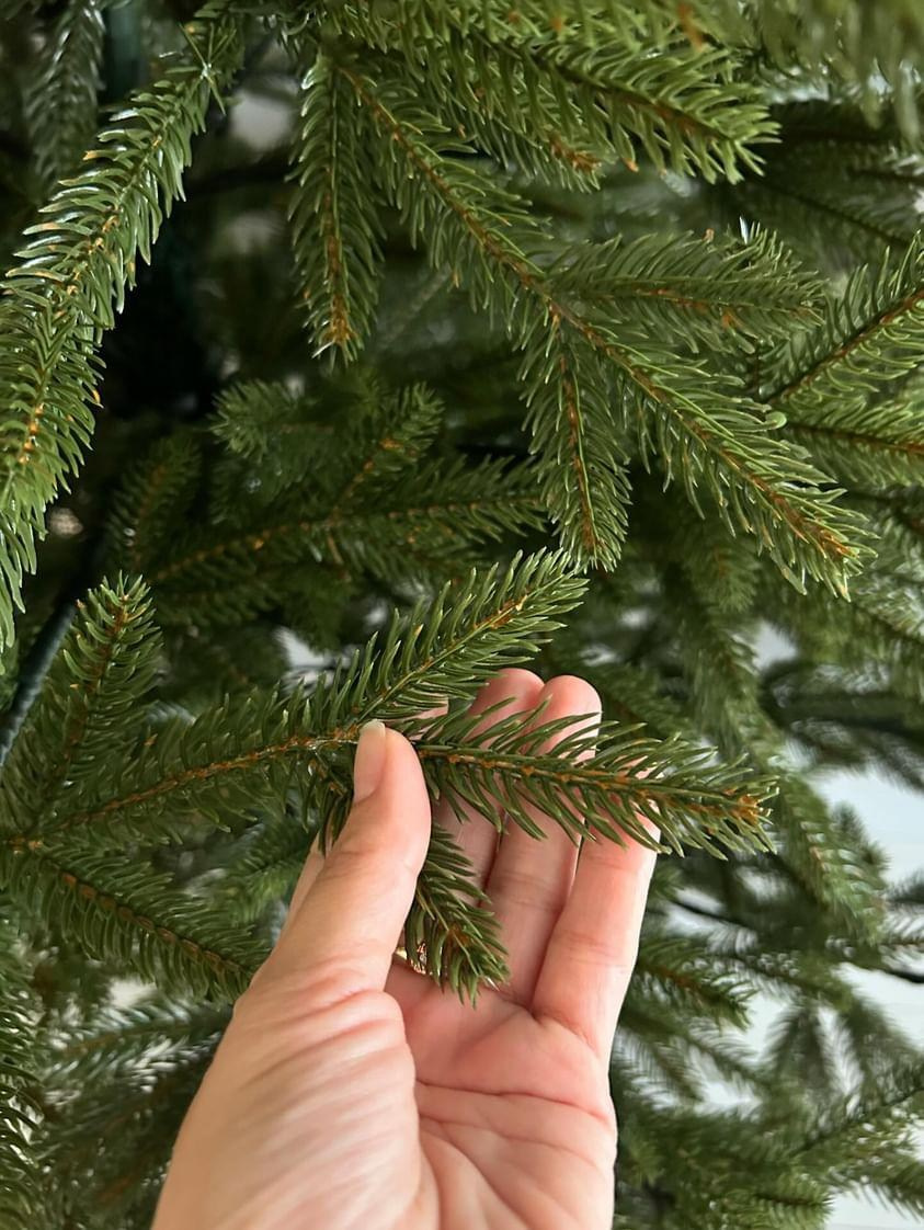 ЛЕСНАЯ. Elki_grodno