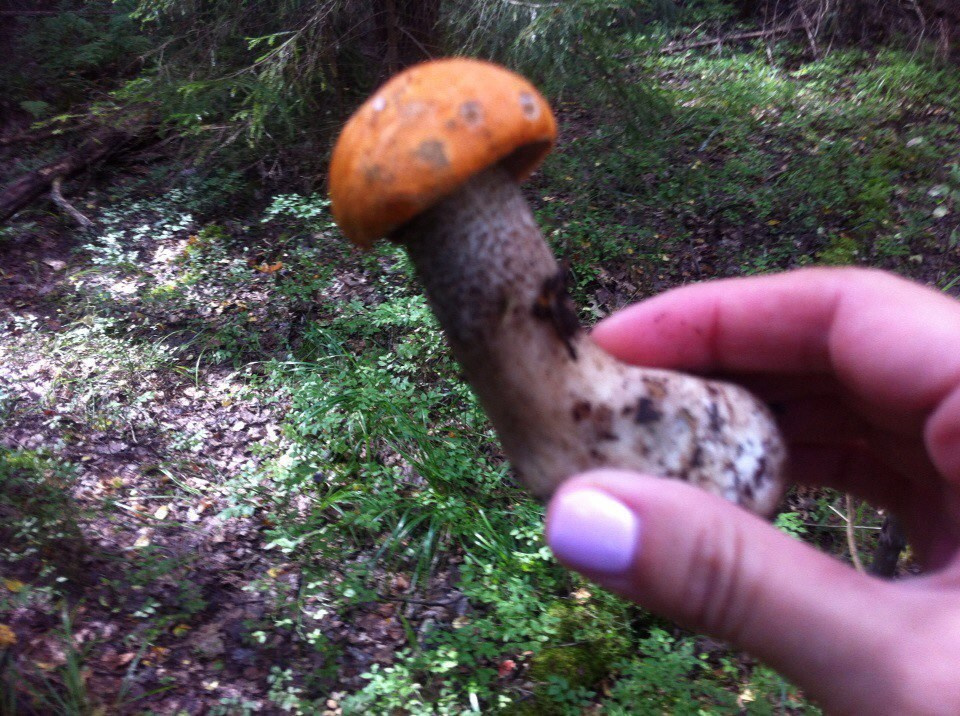 Деревенский выезд 2 | 26-28.08.2016. Галерея Фантим