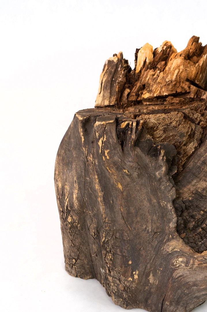 Wisdom table. Whoii art