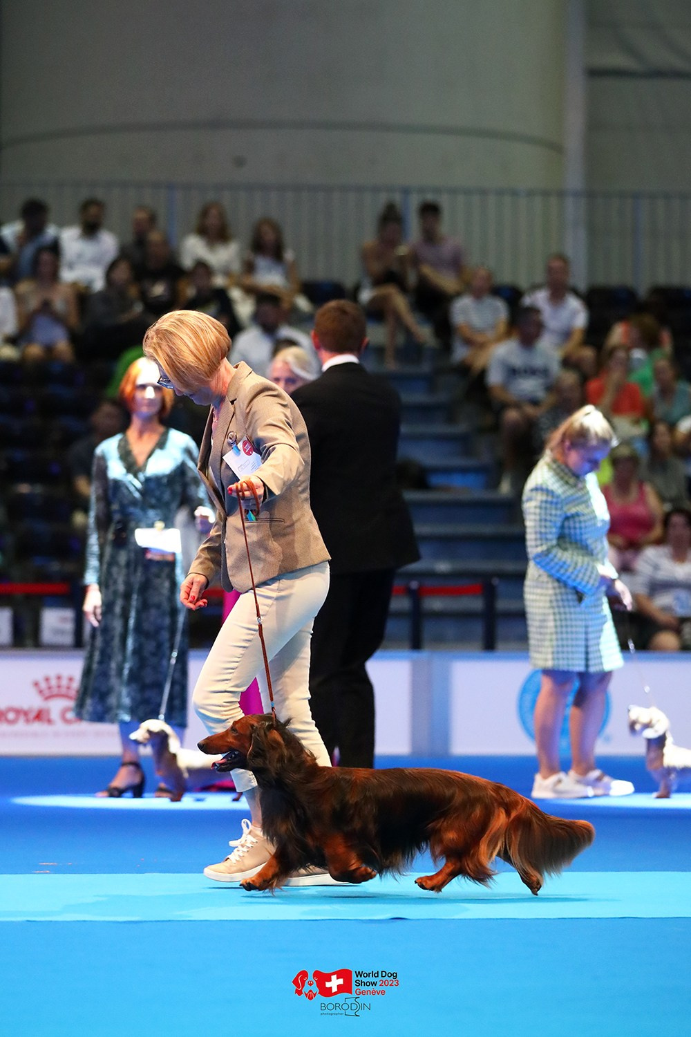 24-27.08.2023 WDS Geneva. Фотограф Дмитрий Бородин