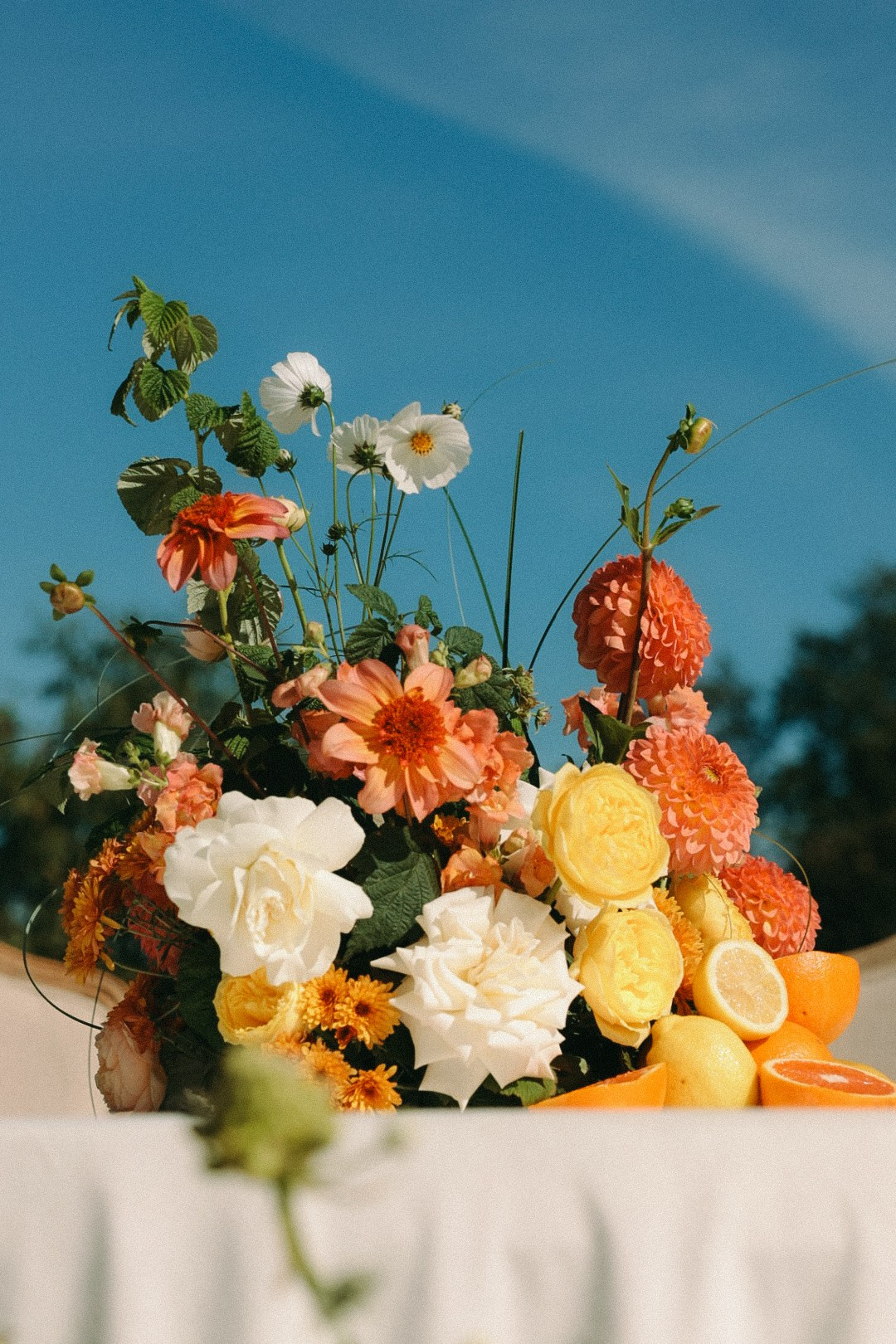 Владимир и Наталья. Фотограф Нижний Новгород