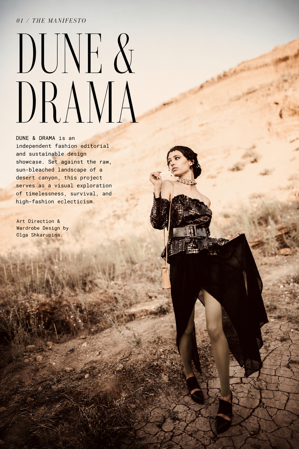 Фэшн. фотосессия. Art director, Fashion -продюсирование lookbook, compeign, magazine